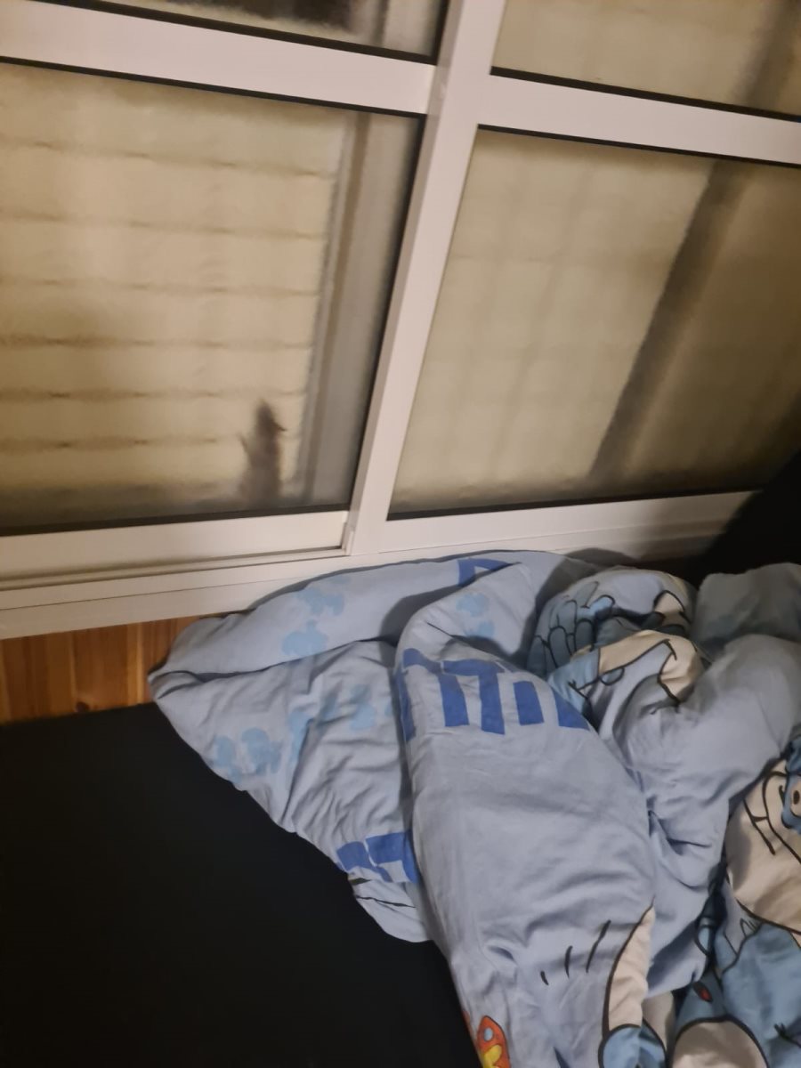 צילום: פרטי צילום: פרטי