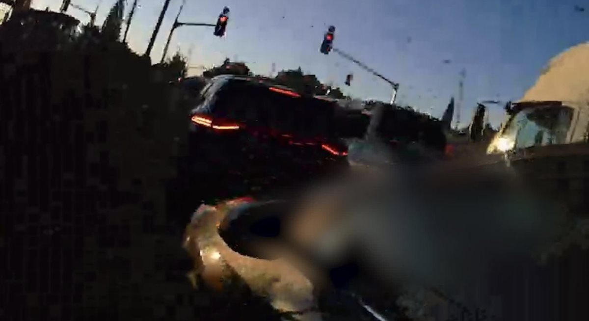 צילום: דוברות המשטרה צילום: דוברות המשטרה