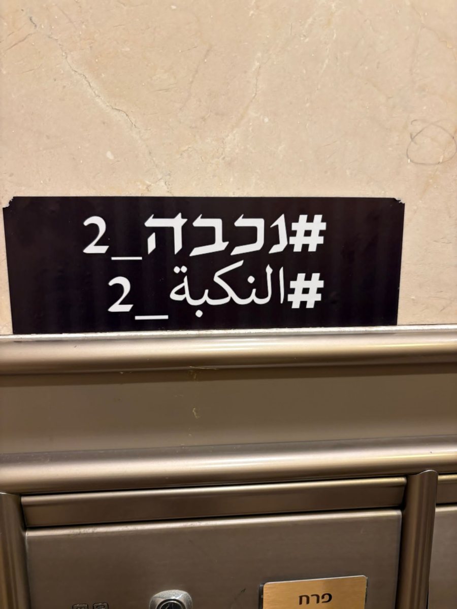 צילום: פרטי