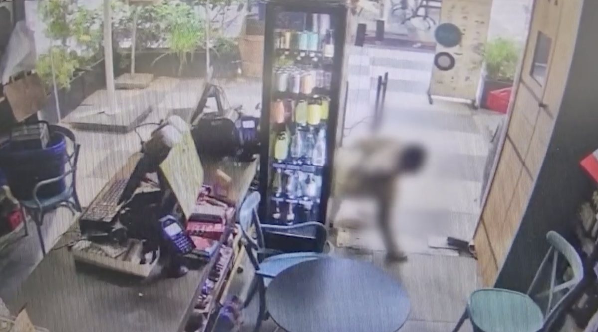 צילום: דוברות המשטרה צילום: דוברות המשטרה