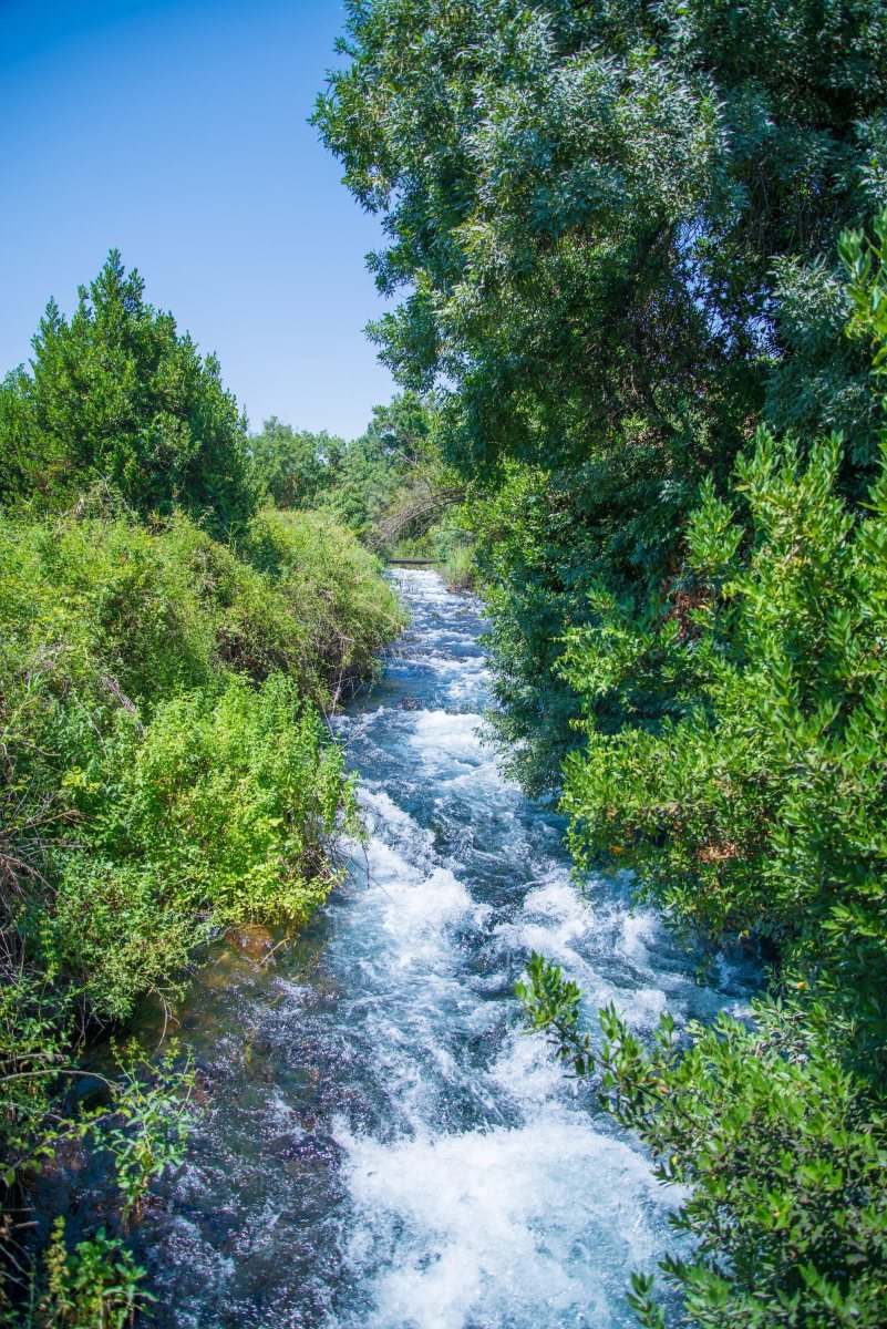 שמורת תל דן צילום מנו גרישפן
