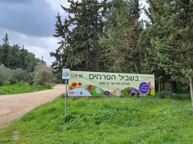 צילום דברת דיטובסקי קק"ל