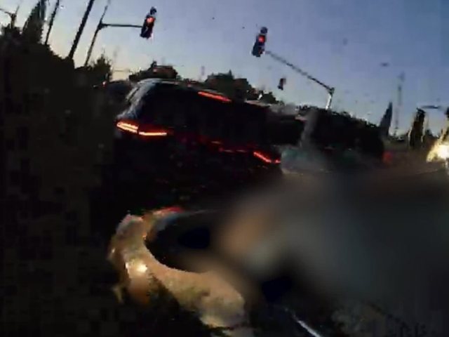צילום: דוברות המשטרה