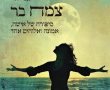צמח בר – בין סדקים ושבר לצמיחה: סיפור על גילוי מטלטל, עולמות מתפוררים ואמונה גדולה
