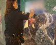 שוב: אותר שוהה בלתי חוקי באתר בנייה בגבעתיים