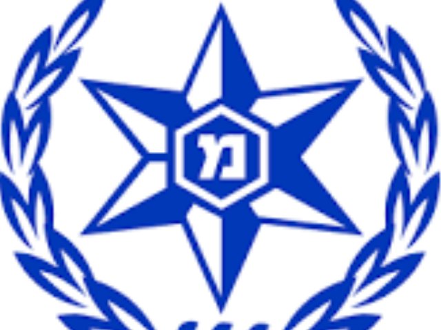 ויקיפדיה