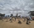 1,000 ימים לטבח 7 באוקטובר: מועצת אוקטובר ציינים  היום את יום הזיכרון האזרחי ומחאה ארצית