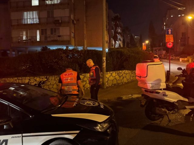 צילום: איחוד הצלה און ליין