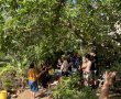 יותר מ־400 משתתפים באירועי הקיימות של גבעתיים, והקיץ רק מתחיל