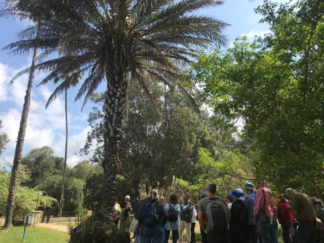 צילום- חני קהלני, קק''ל