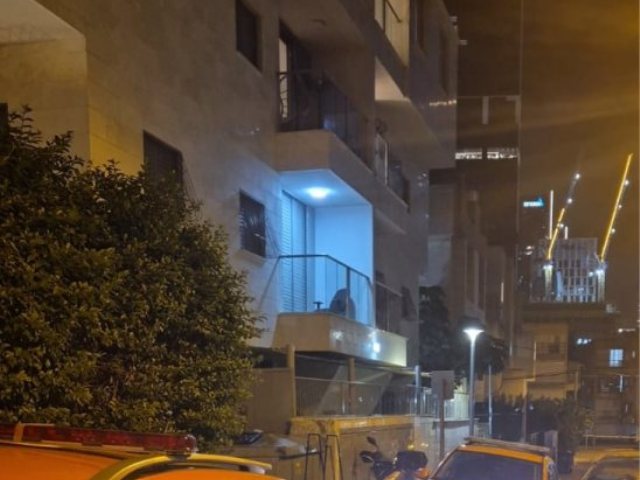 צילום: איחוד הצלה און ליין