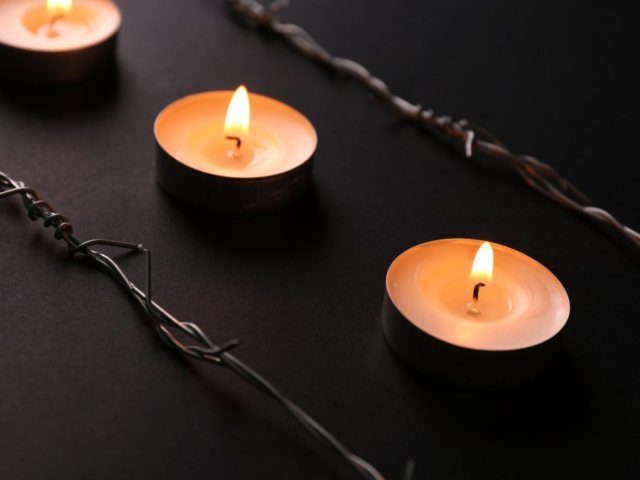 אילוסטרציה (canva)