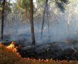 בגלל השריפות: זהו קו ההגנה בשכונה הירושלמית הסמוכה ליער